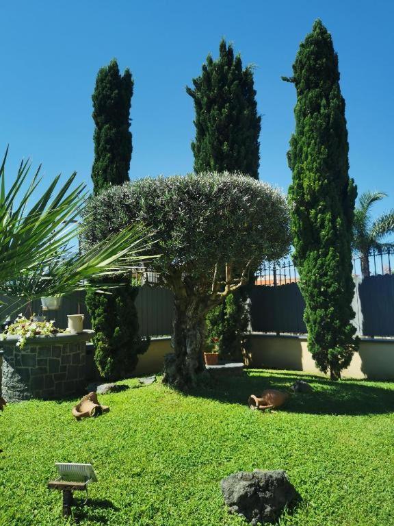 Atrium Pompei Villa Exterior photo